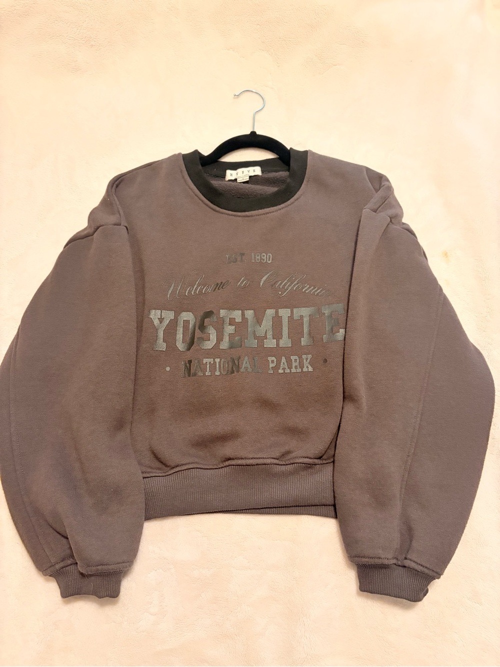 HYFVE Yosemite National Park Pullover Sweatshirt - Brown